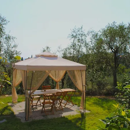 Conosco Un Posticino * 레리치